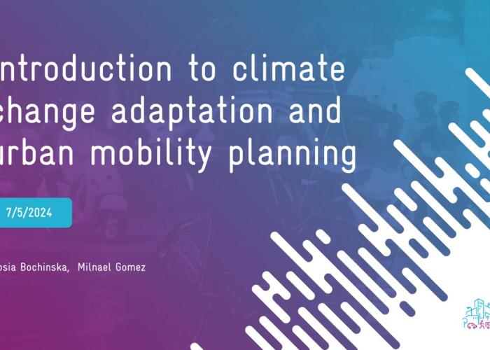 View of Recording of Introduction to Climate Change Adaptation and Urban ...